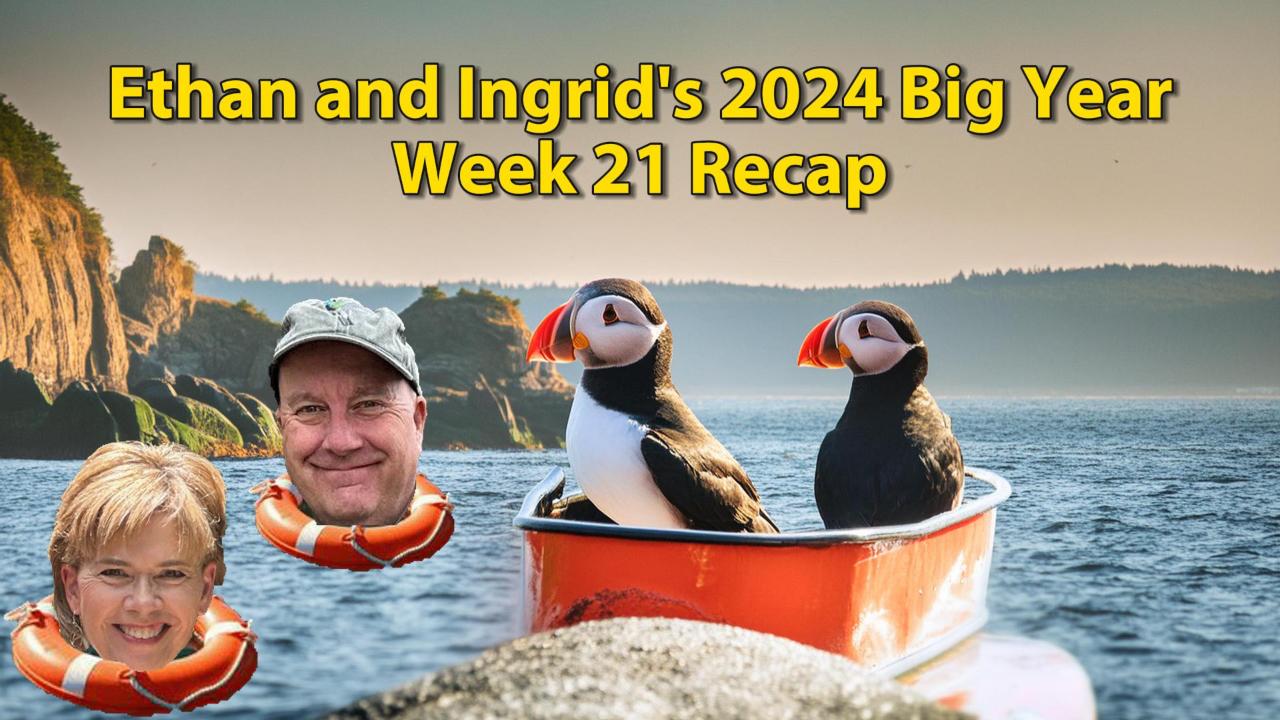 Ethan and Ingrid’s 2024 Big Year (Week 21)