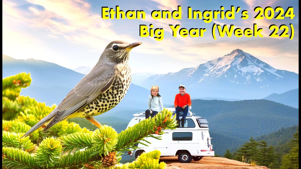 Ethan and Ingrid’s 2024 Big Year (Week 22)