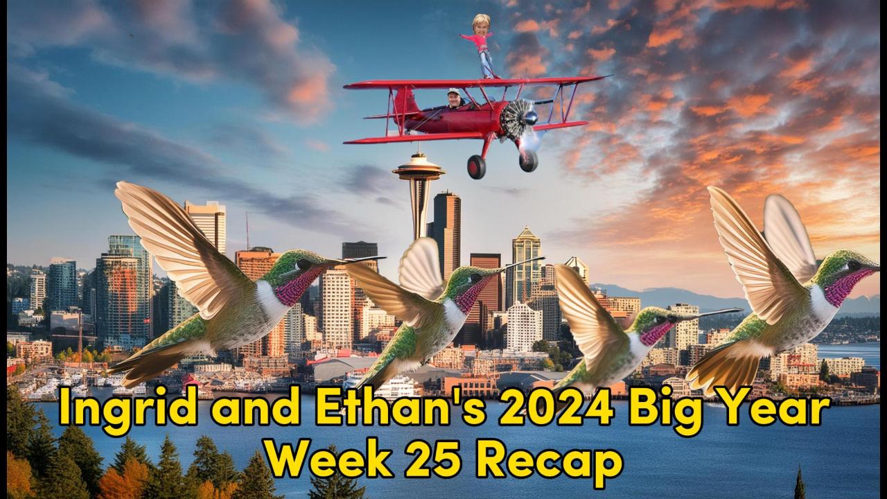 Ethan and Ingrid’s 2024 Big Year (Week 25)