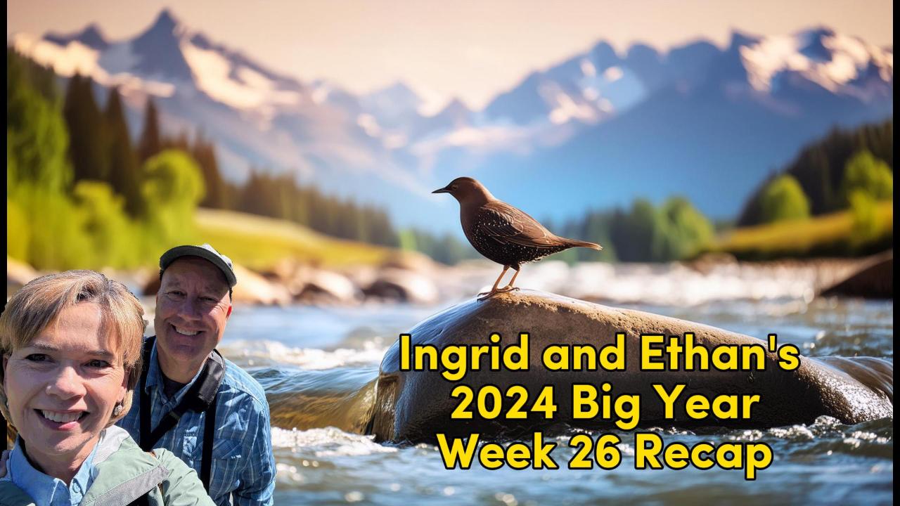 Ethan and Ingrid’s 2024 Big Year (Week 26)