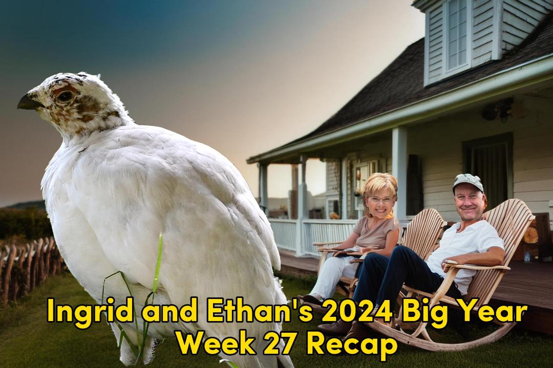 Ethan and Ingrid’s 2024 Big Year (Week 27)